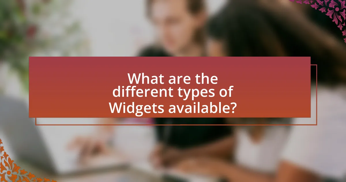 What are the different types of Widgets available?